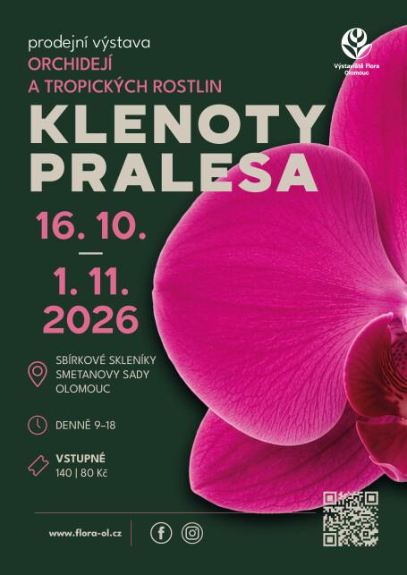 Klenoty pralesa