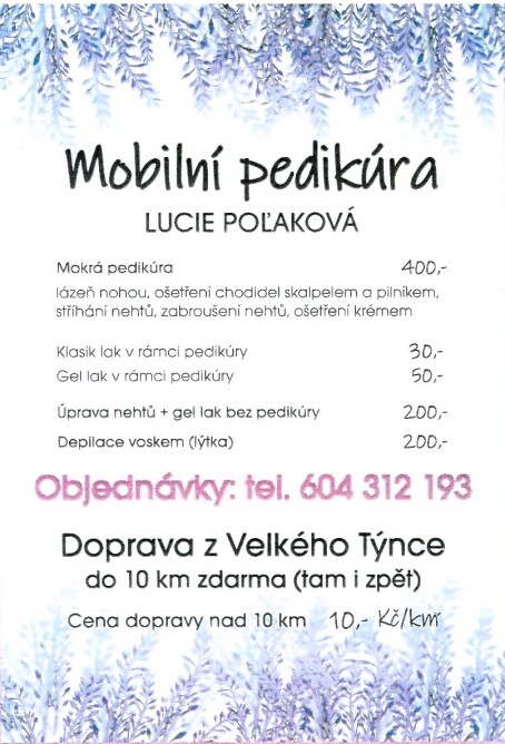 Mobilní pedikúra