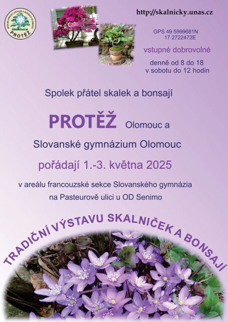 Pozvánka na výstavu skalniček a bonsají