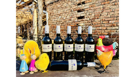 Vinařství Holánek