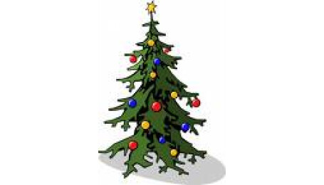 Svoz vánočích stromků