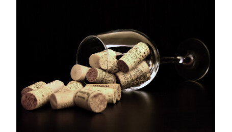 Vinařství Holánek